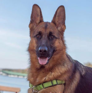 Meet your Posher, Caroline